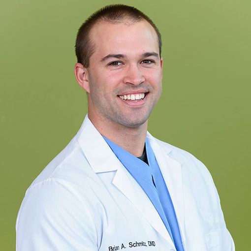 Dr. Brian Schmitz